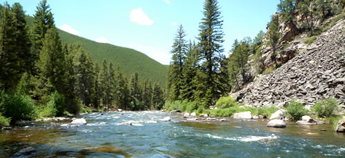 Taylor River